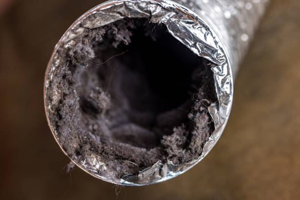 Best Affordable Air Duct Cleaning  in Moundville, AL