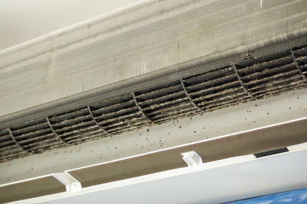 Best Residential Air Duct Cleaning  in Moundville, AL
